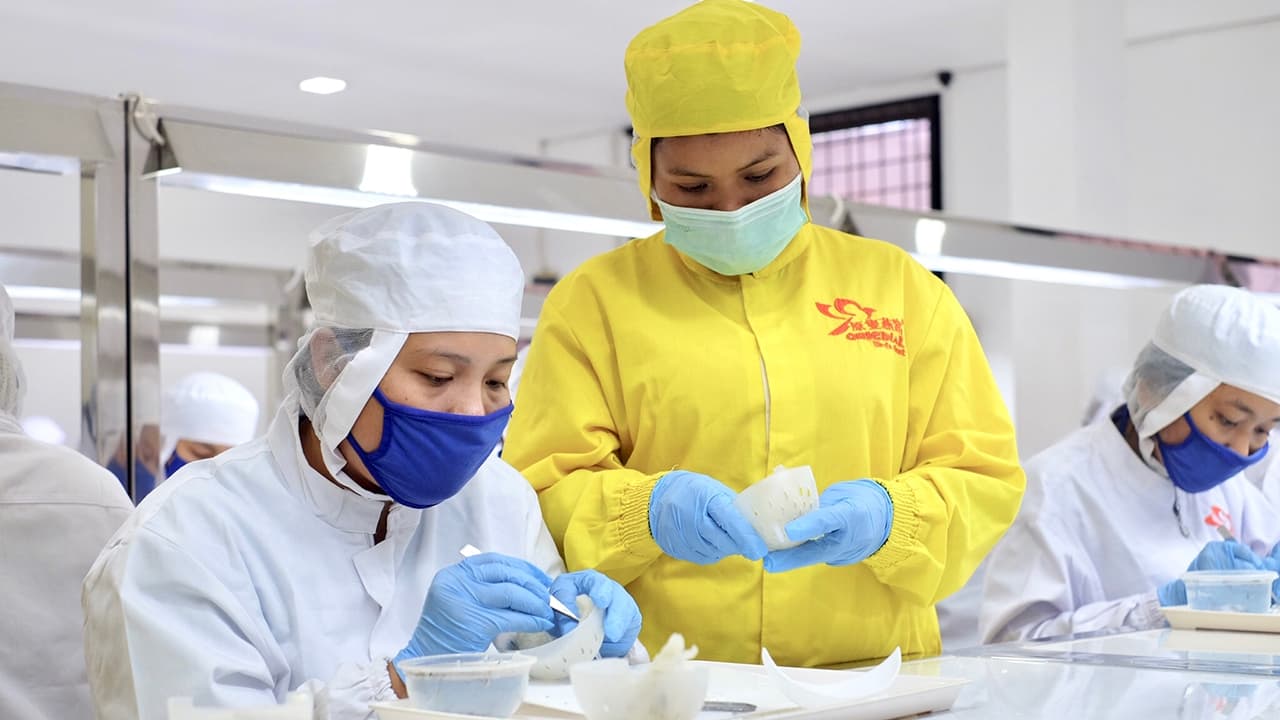 Original Nest Factory