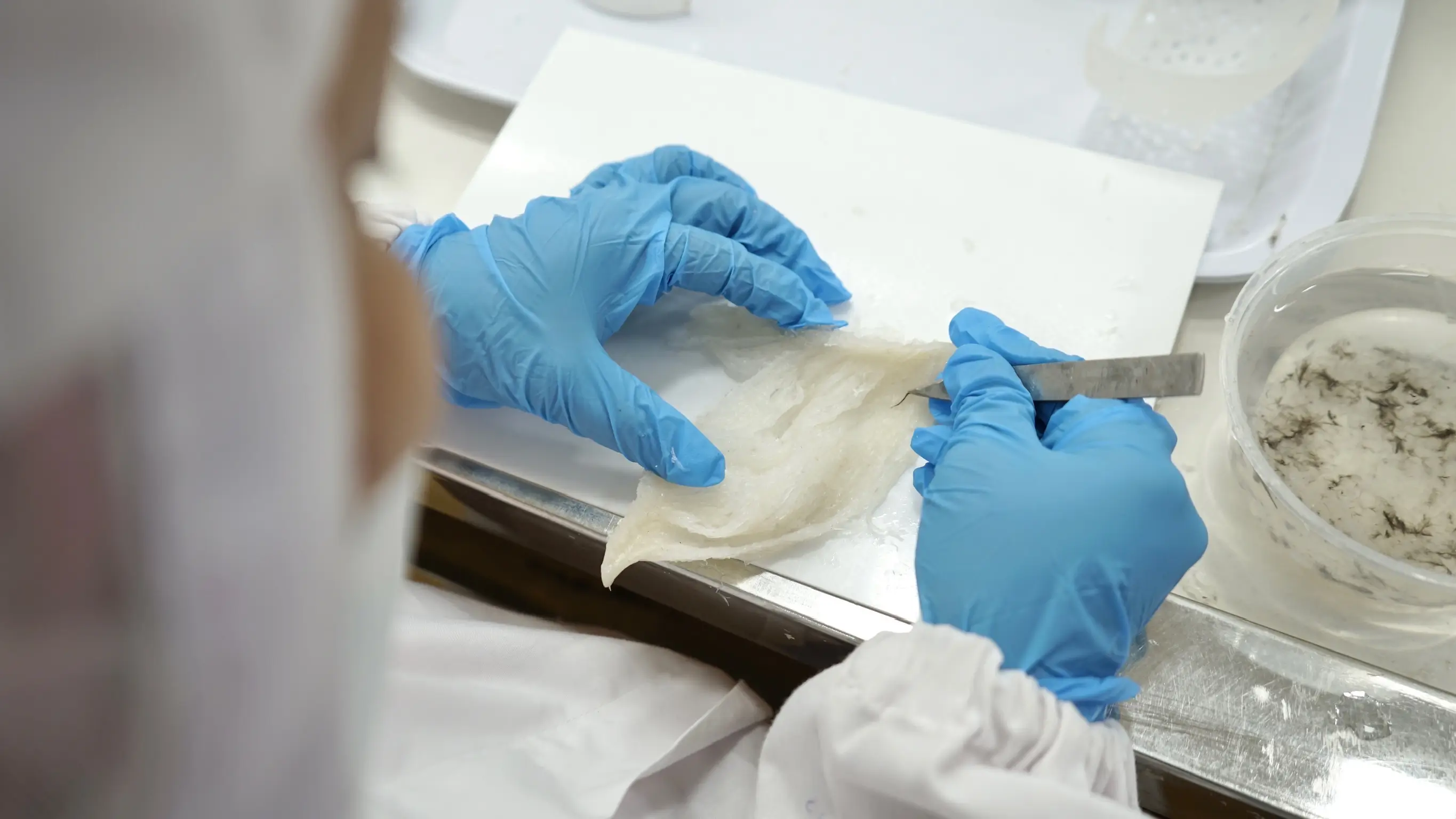 Cleaning - image 4